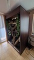 terrarium dla legwana, terrarium na zamówienie, terrarium tropikalne, legwan zielony, legwan, legwan fidżyjski, iguana