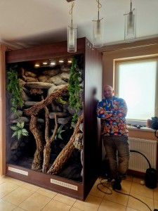 TERRARIUM 120X80X180 DLA LEGWANA TROPIKALNE Z WYPOSAŻENIEM I ARANŻACJĄ IGUANA