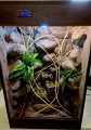 terrarium dla kameleona