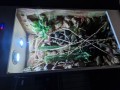 terrarium dla kameleona