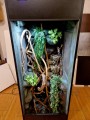 20241024_223155.jpg