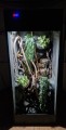 terrarium dla kameleona