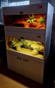 TERRARIUM 120X60X60 + SZAFKA 120X60X60 KOMPLET ZABUDOWA TERRARYSTYCZNA TERRARIUM Z SZAFKĄ 