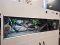 518315136_751586970657714_1842279502553510559_n (1).jpg