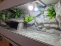 525140365_761645362985208_1951633626286867931_n.jpg
