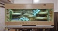 512710504_737884278694650_1627958668458893191_n.jpg