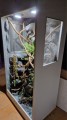 terrarium dla kameleona