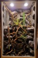 terrarium dla kameleona