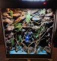 terrarium dla kameleona
