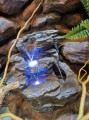 terrarium dla kameleona