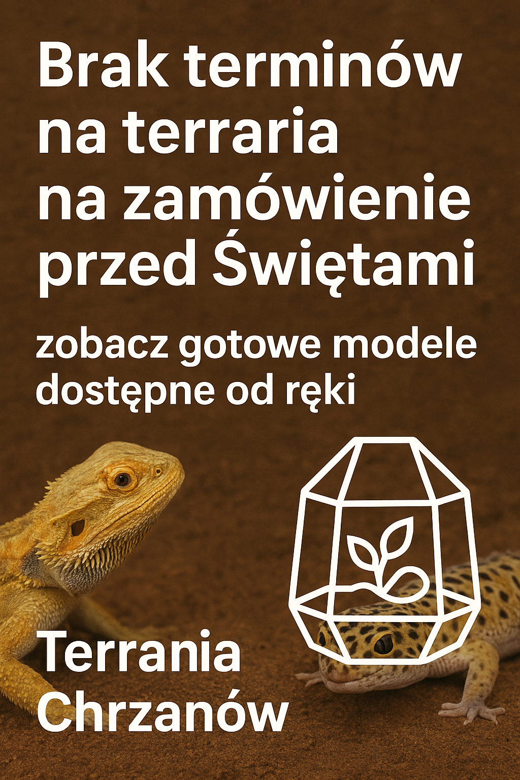 Terrarium na prezent? Dlaczego nie warto się spieszyć z zakupem przed Świętami
