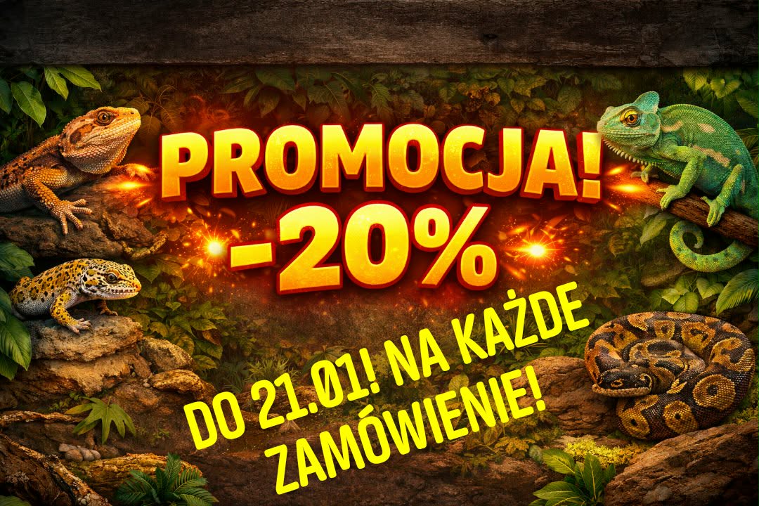 Promocja -20 % na każde zamówienie !