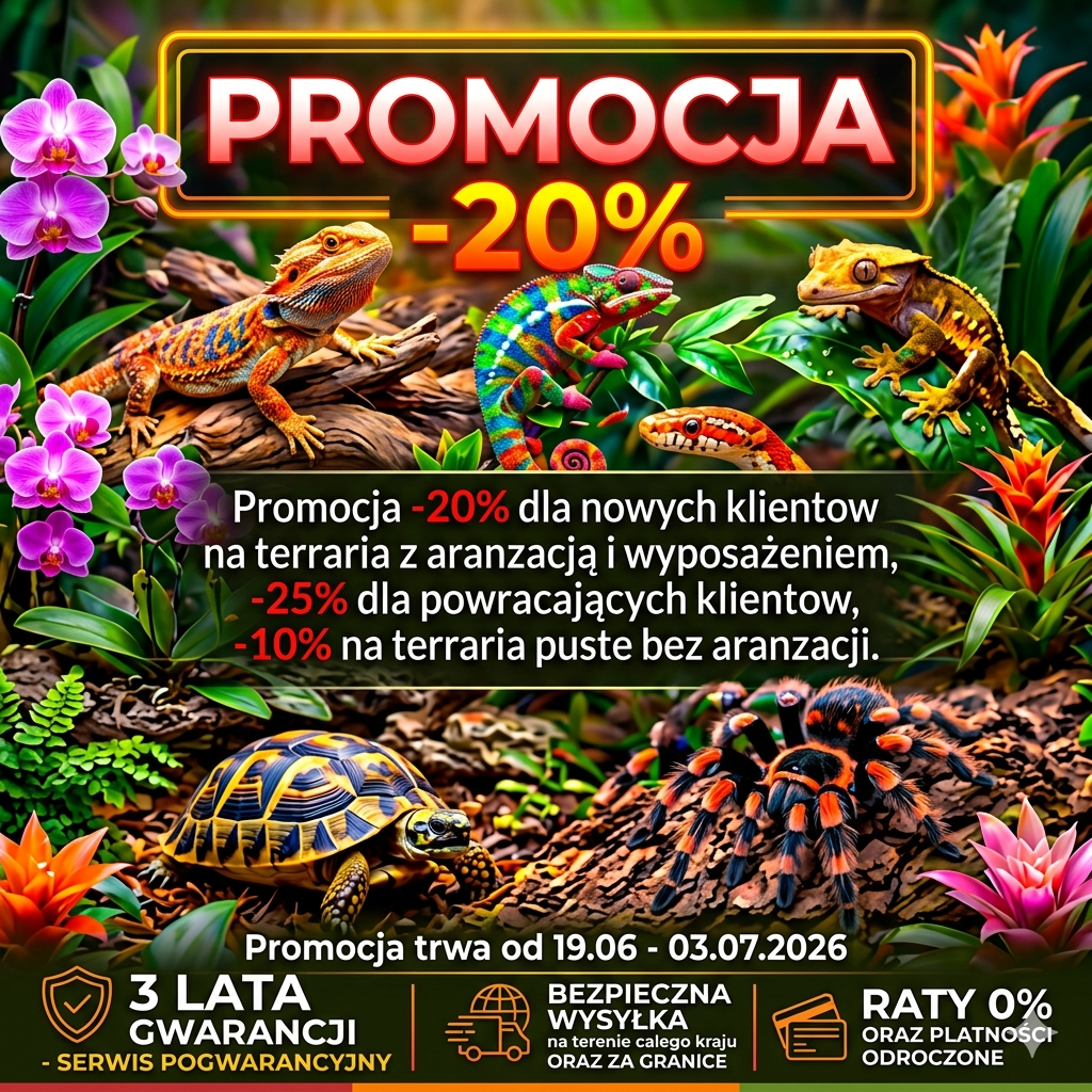 ​Terrarium z aranżacją i wyposażeniem – Promocja do -25%